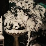 snow birdbath