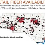 fiber