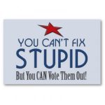 vote stupid out