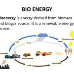 bio-energy-2-638