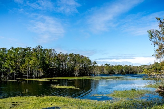 wetlands