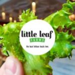 little leaf