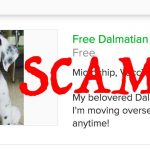 puppy scam