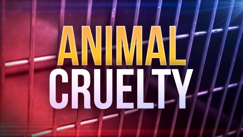 31 Animals Seized; RC Woman Arrested