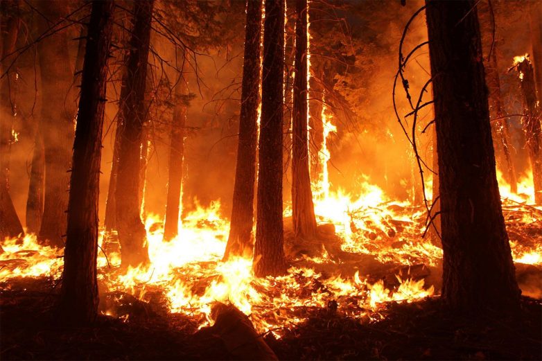 N.C. Forest Service urges residents to exercise caution when burning debris