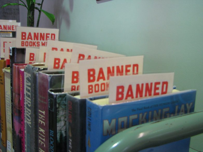 More than 1,500 books have been banned in public schools, and a U.S. House panel asks why